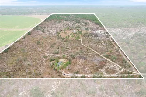 1252 NE 117th Ter, Williston, FL 32696