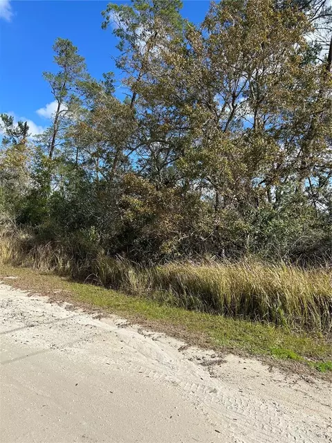 0 Orinoco, Weeki Wachee, FL 34613