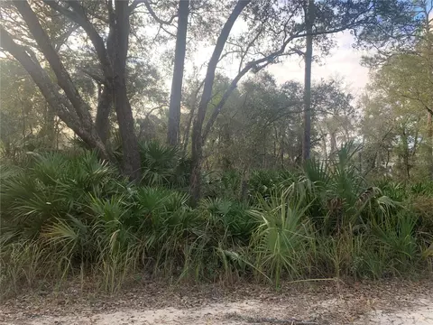 00 102nd Ave, Cedar Key, FL 32625