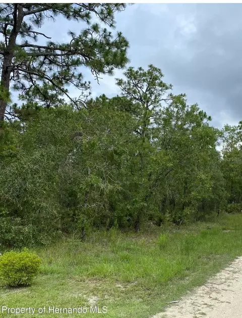 15391 Mottled Owl Rd, Weeki Wachee, FL 34614