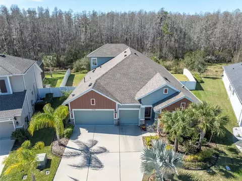 15380 Aviles Pkwy, Odessa, FL 33556