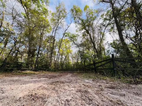NE 262nd Ave, Old Town, FL 32680