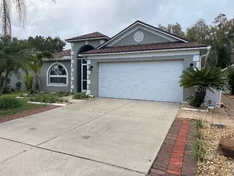 30839 Wooley Ct, Wesley Chapel, FL 33543