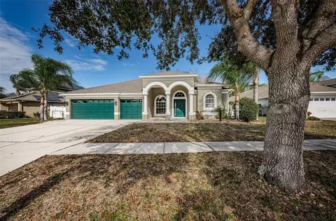 3415 Chessington Dr, Land O Lakes, FL 34638