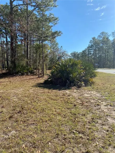 11329 Tinamou Ave, Weeki Wachee, FL 34614