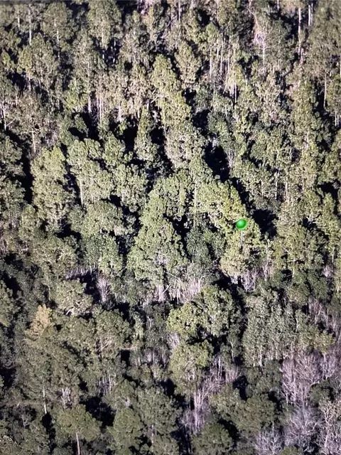 241 Volusian Forest Trl, Pierson, FL 32180