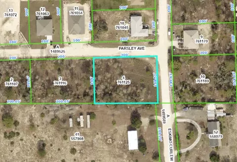 Parsley Avenue, Weeki Wachee, FL 34614