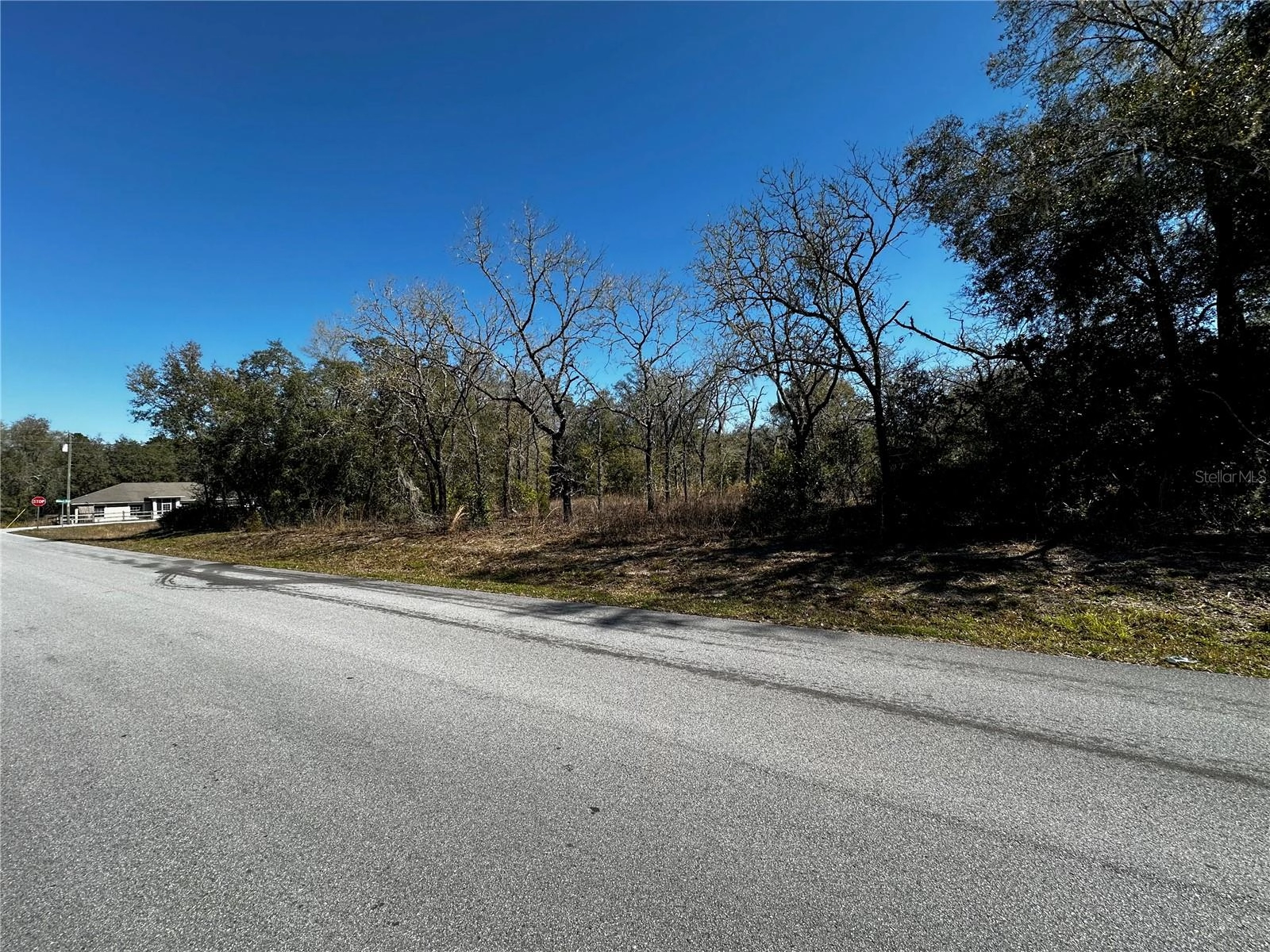 Loop Court, Webster, FL 33597 photo 1