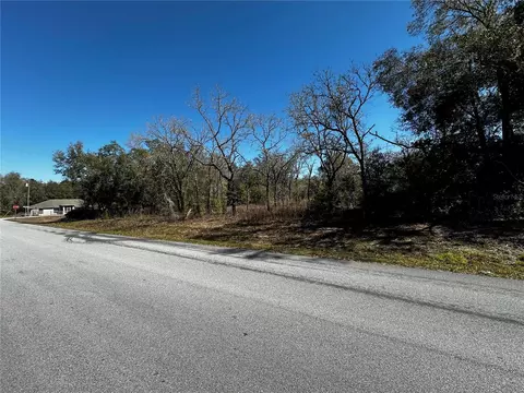 Loop Court, Webster, FL 33597