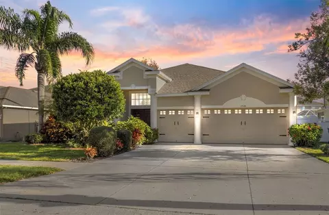 1546 Amaryllis Ct, Trinity, FL 34655