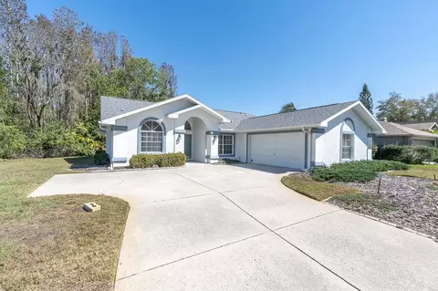 1632 Percheron Dr, Trinity, FL 34655