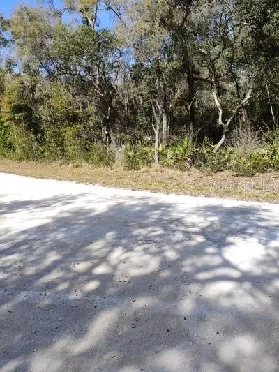 Lot 39 Otter Drive, Ridge Manor, FL 33523