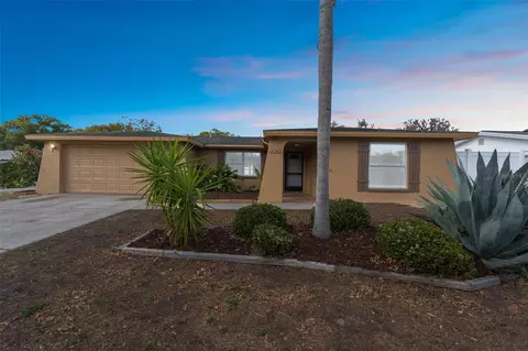 5743 Consuello Dr, Holiday, FL 34690