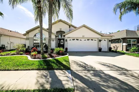 20800 Nectarine Pl, Land O Lakes, FL 34637