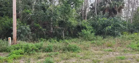 624 Delmonico St, Lehigh Acres, FL 33974
