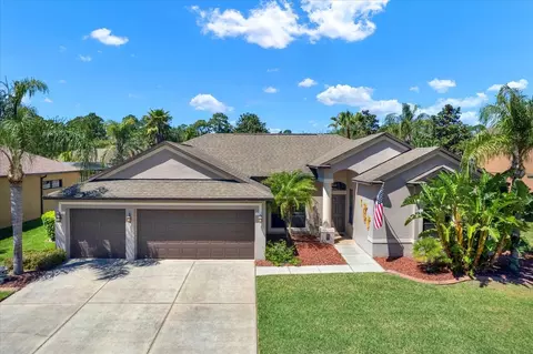 10813 Rain Lily Pass, Land O Lakes, FL 34638