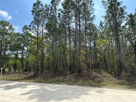 Tinamou Avenue, Weeki Wachee, FL 34614