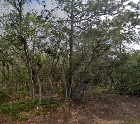 10 Milbark Dr, Homosassa, FL 34446