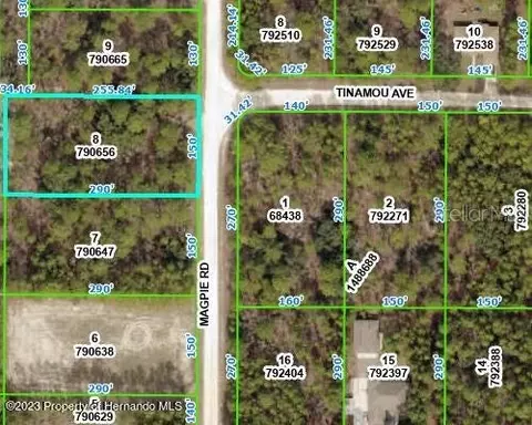 Lot 8 Magpie Road, Weeki Wachee, FL 34614