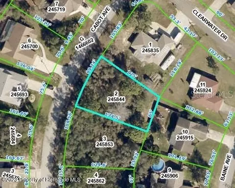 Cabot Avenue, Spring Hill, FL 34606