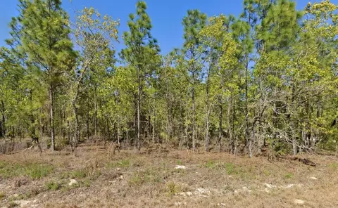 12495 Tinamou Ave, Weeki Wachee, FL 34614