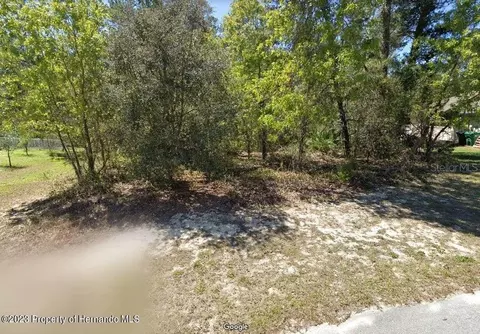 24 Statice Ct, Homosassa, FL 34446