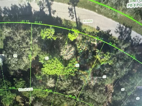 Estelle, New Port Richey, FL 34654
