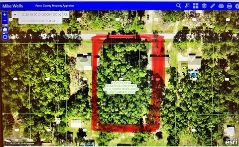 33544 Green Willow Run, Wesley Chapel, FL 33544