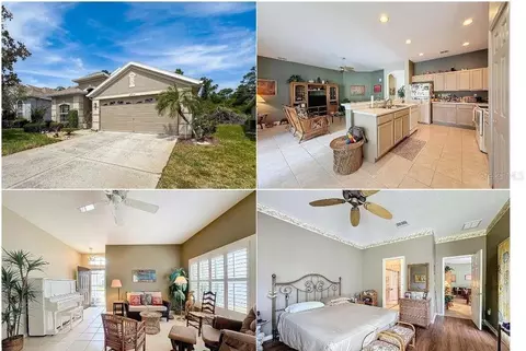 2935 Wood Pointe Dr, Holiday, FL 34691