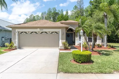 12043 Yellow Finch Ln, Trinity, FL 34655