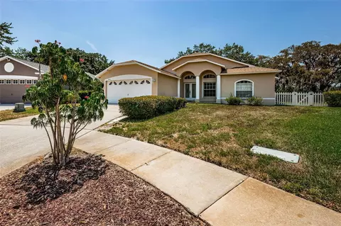 1456 Watermill Cir, Tarpon Springs, FL 34689
