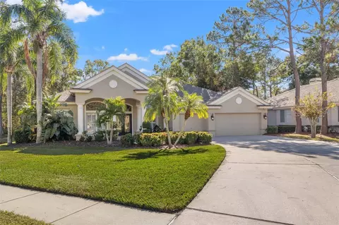 1592 Eagles Reach, Tarpon Springs, FL 34688