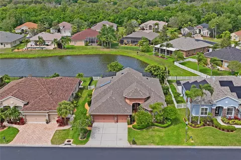1733 Nodding Thistle Dr, Trinity, FL 34655