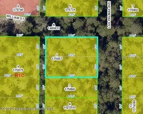 Las Palmas Avenue, Spring Hill, FL 34606