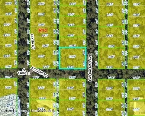 Las Palmas Avenue, Spring Hill, FL 34606