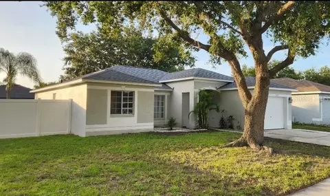 12120 Buffington Ln, Riverview, FL 33579 photo 1