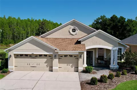3613 Barnweill St, Land O Lakes, FL 34638