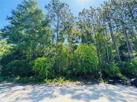 14420 Carolina Chickadee Rd, Weeki Wachee, FL 34614