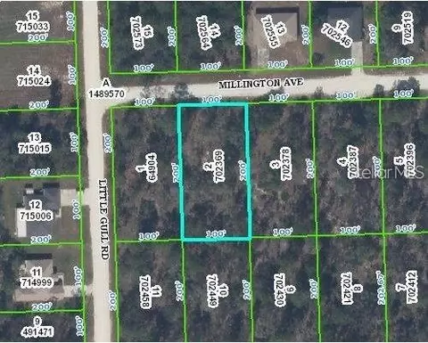 12116 Millington Ave, Weeki Wachee, FL 34614