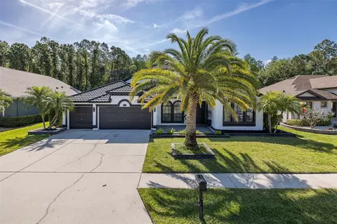 16716 Ivy Lake Dr, Odessa, FL 33556