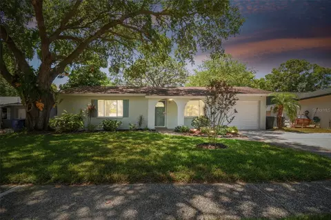 1623 Amberglen Dr, Dunedin, FL 34698