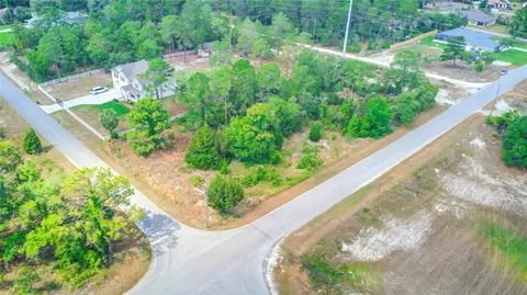Gyrafalcon Avenue, Weeki Wachee, FL 34613