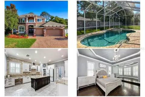 22304 Bartholdi Cir, Land O Lakes, FL 34639