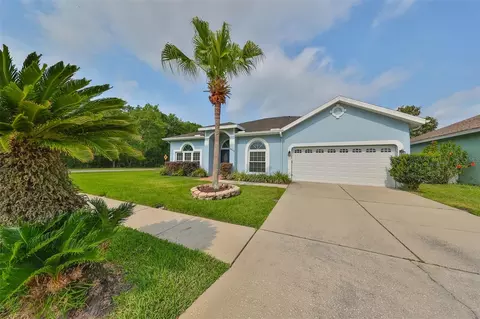 18502 Ambly Ln, Tampa, FL 33647