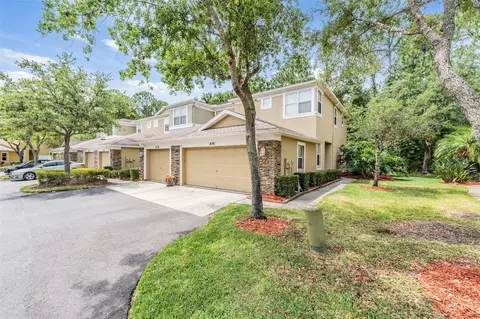 8141 Stone Leaf Ln, Tampa, FL 33647