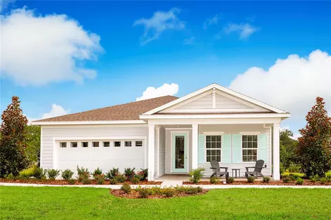 799 Autumn Oaks Loop, Mount Dora, FL 32757