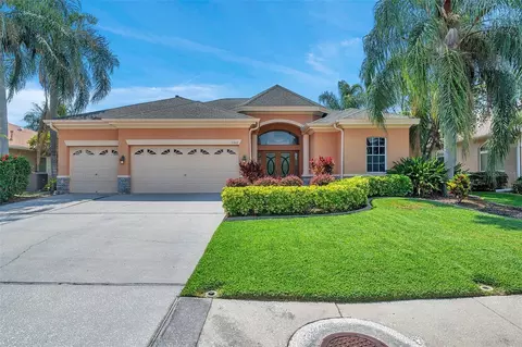 9949 Balsaridge Ct, Trinity, FL 34655