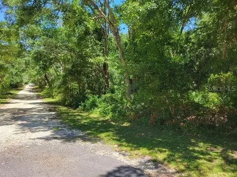 1101 N Munich Ter, Lecanto, FL 34461