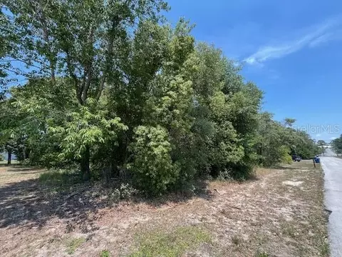 2407 Holston Ave, Spring Hill, FL 34608