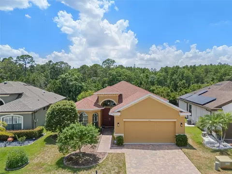 1111 Ketzal Dr, Trinity, FL 34655